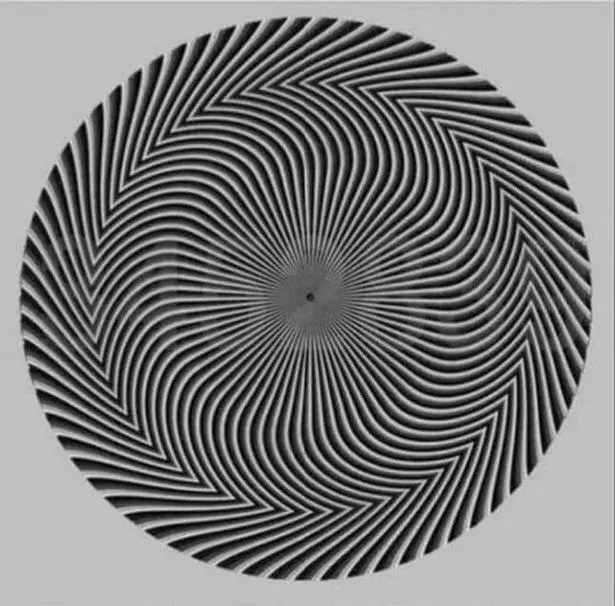 optical illusion pictures