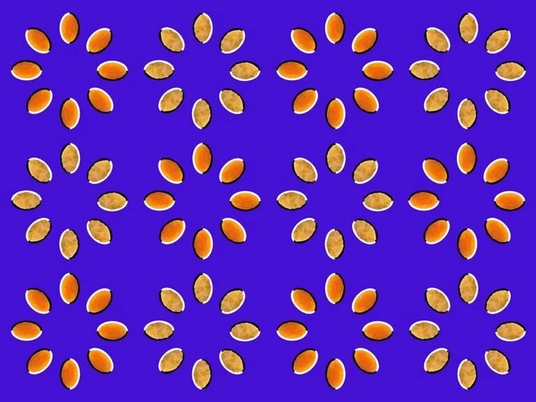 visual illusions