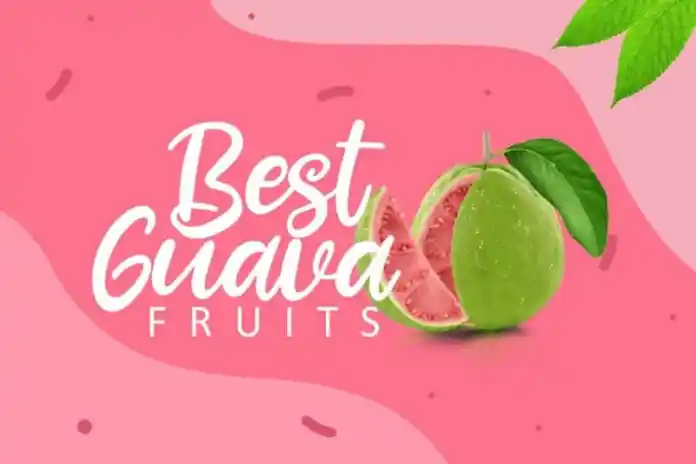 Fresh Guava Font, Logo Fonts