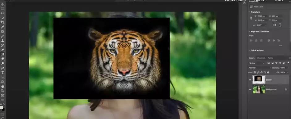 masking tiger face select