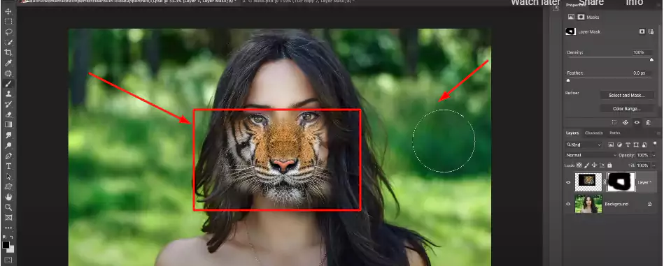 placing the tiger face