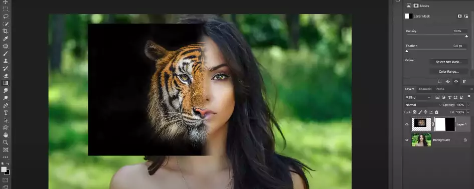 select background tiger face mask,