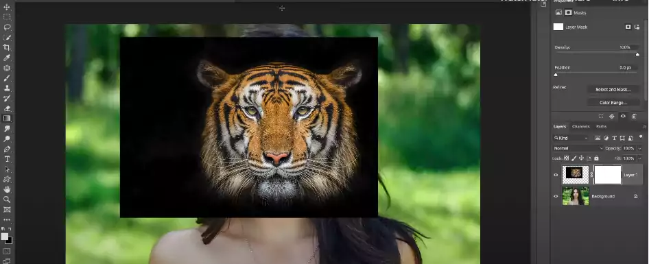 Fully set up the tiger face select