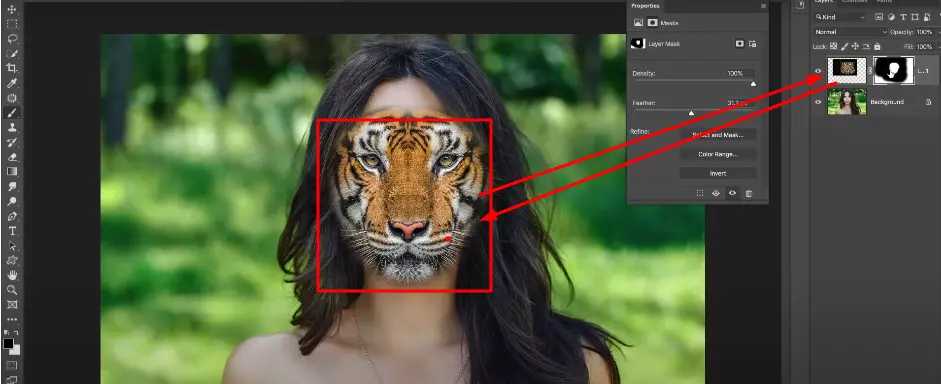 final steps with image masking layer with tiger face
