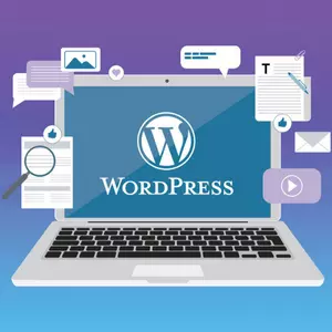 WordPress Website