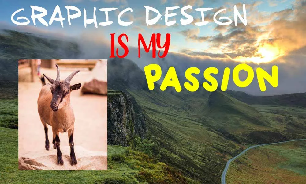 Goat Passion Meme