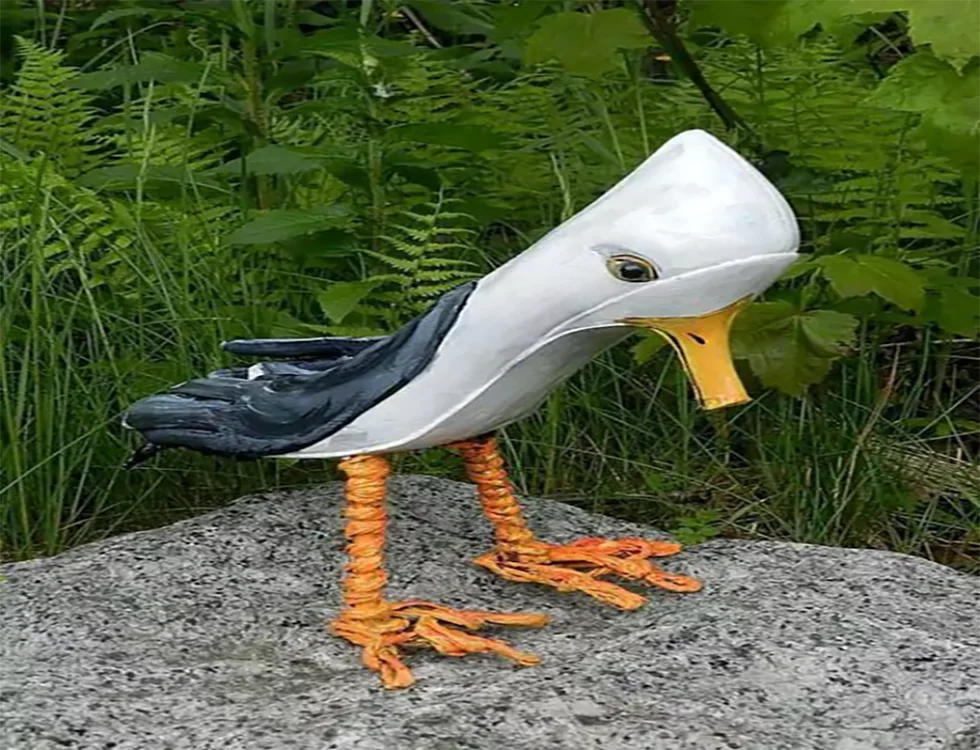 A Duck Shaped Shoe