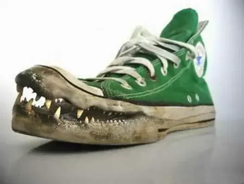 The Alligator Sneaker, Ugliest Shoes