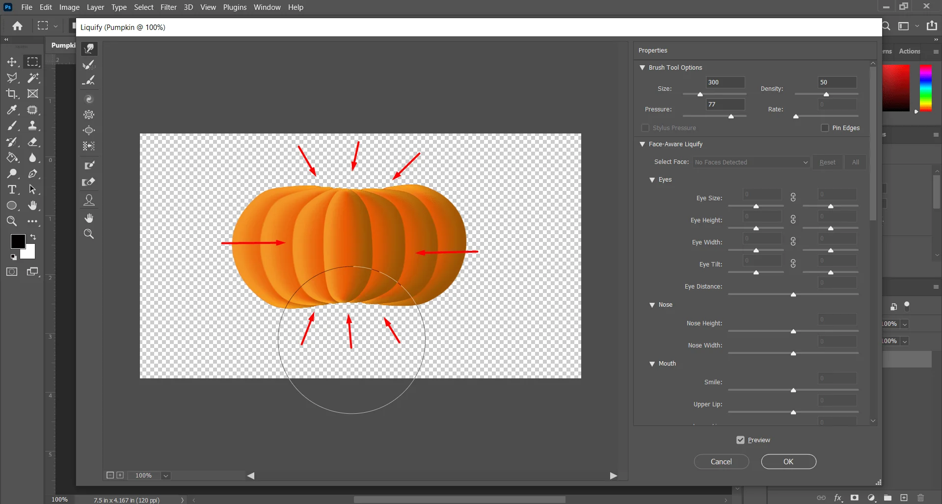 Applying Forward Warp Tool