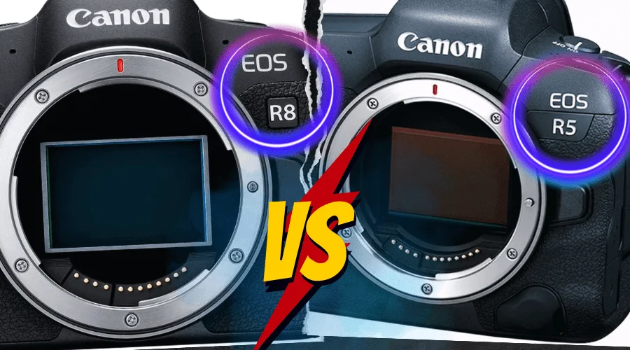 Canon EOS R8 vs. Canon EOS R5 Specs | Best Canon EOS 2024, Canon EOS R8 VS Canon EOS R5 Specs, GraphicsCycle
