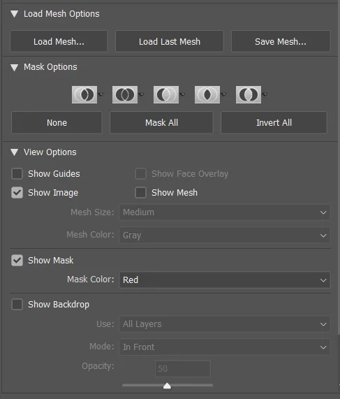 Different Mask Options on the Mask Options Panel