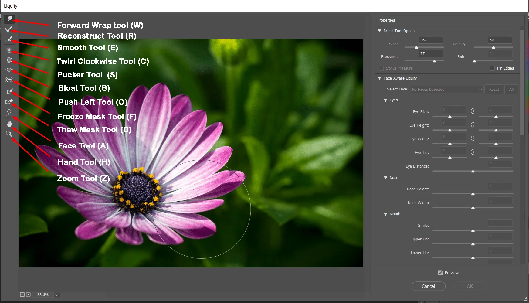 Liquify Photoshop Distortion Tools