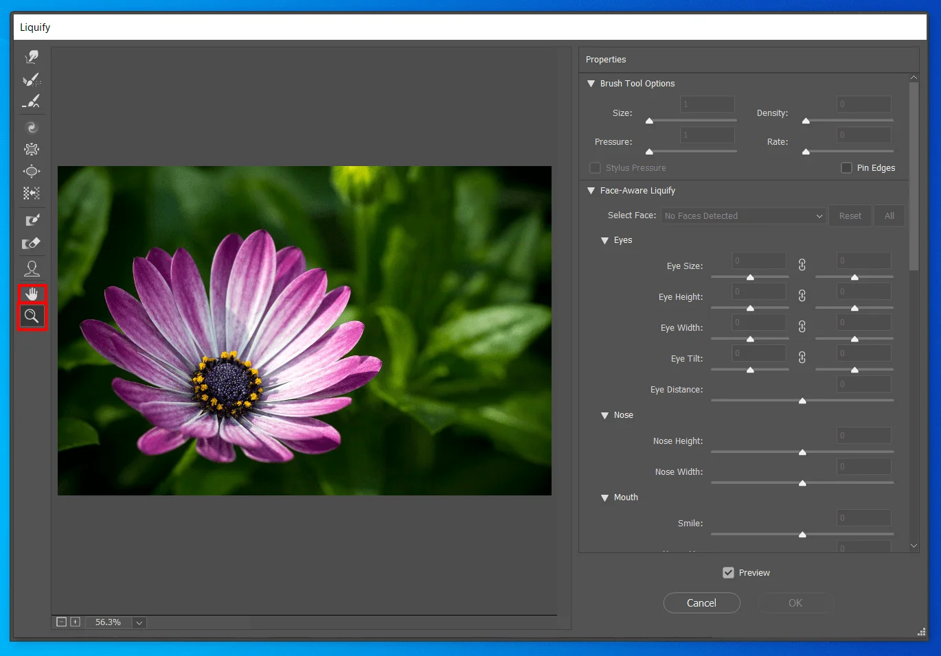 Magnify and Navigate Preview Image, Liquify Photoshop