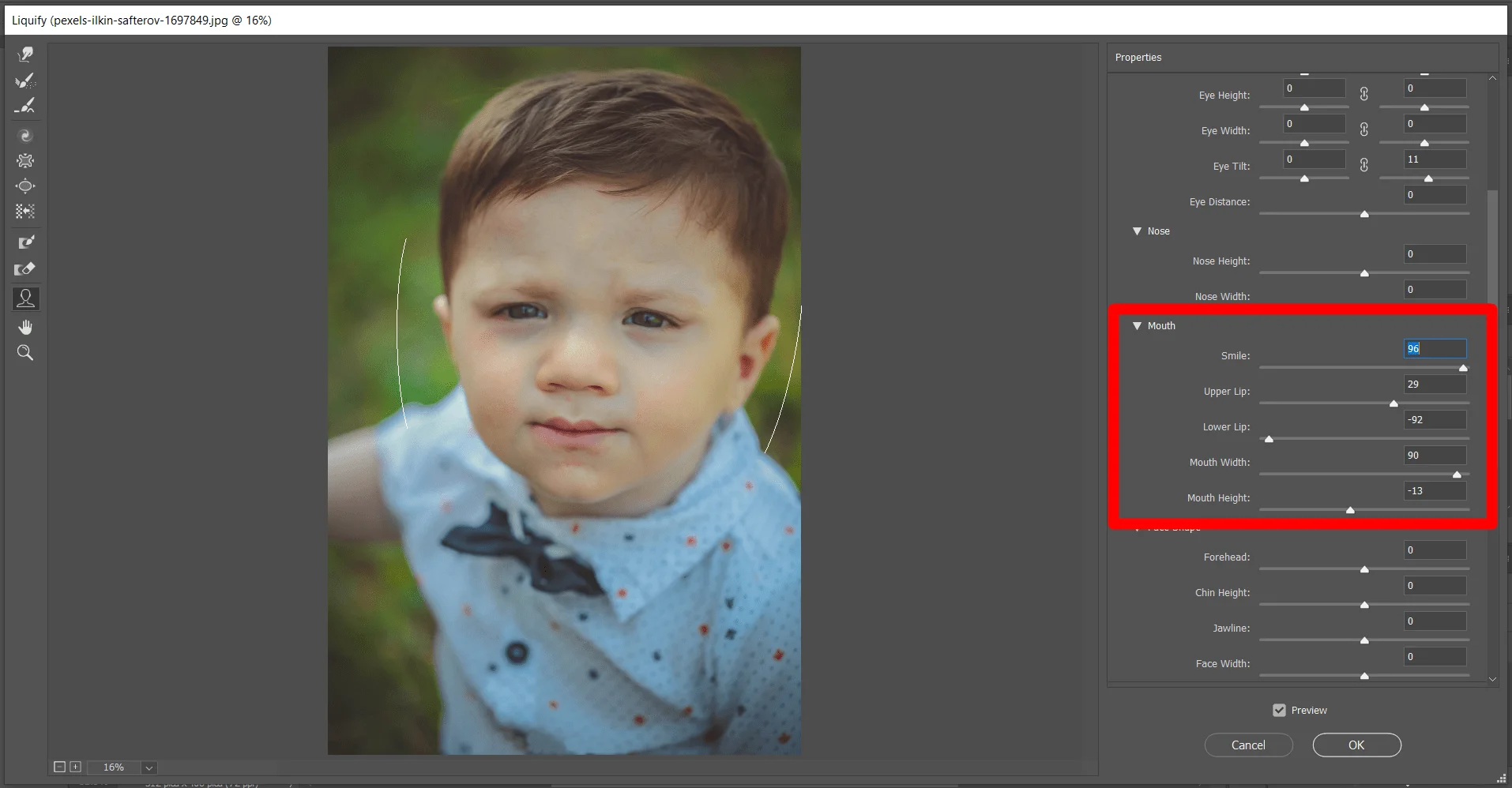 Mouth Setting, How to Use Liquify Photoshop