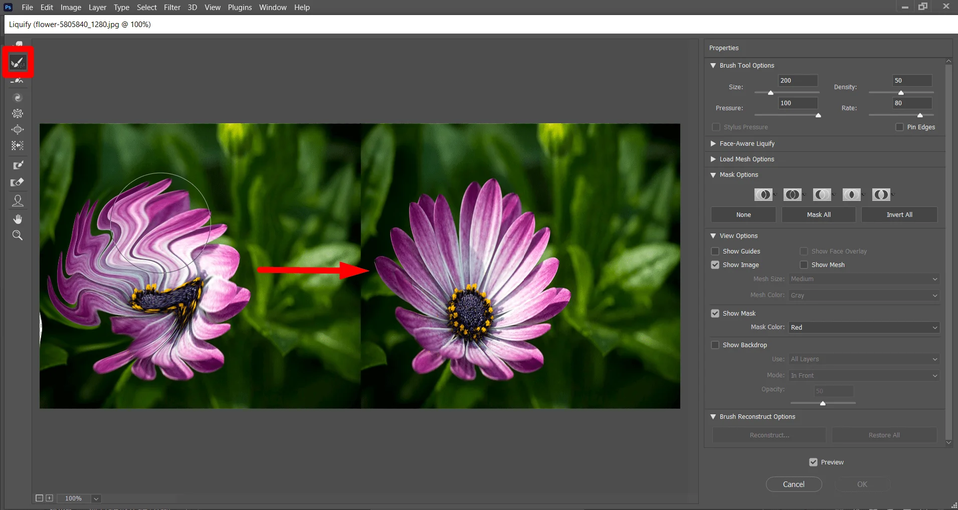 Reconstruction Tool Example, Liquify Photoshop