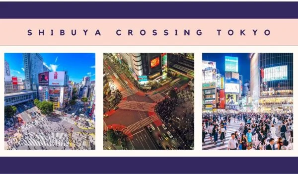 Shibuya Crossing Tokyo