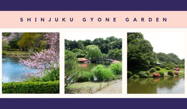 Shinjuku Gyoen National Garden, The 8 Best Places to Take Pictures in Tokyo, Graphicscycle