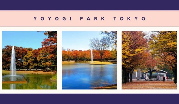 Yoyogi Park Japan