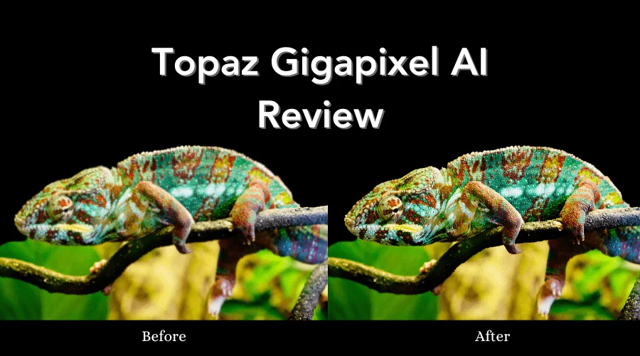 Topaz Gigapixel AI review, Topaz Gigapixel, GraphicsCycle