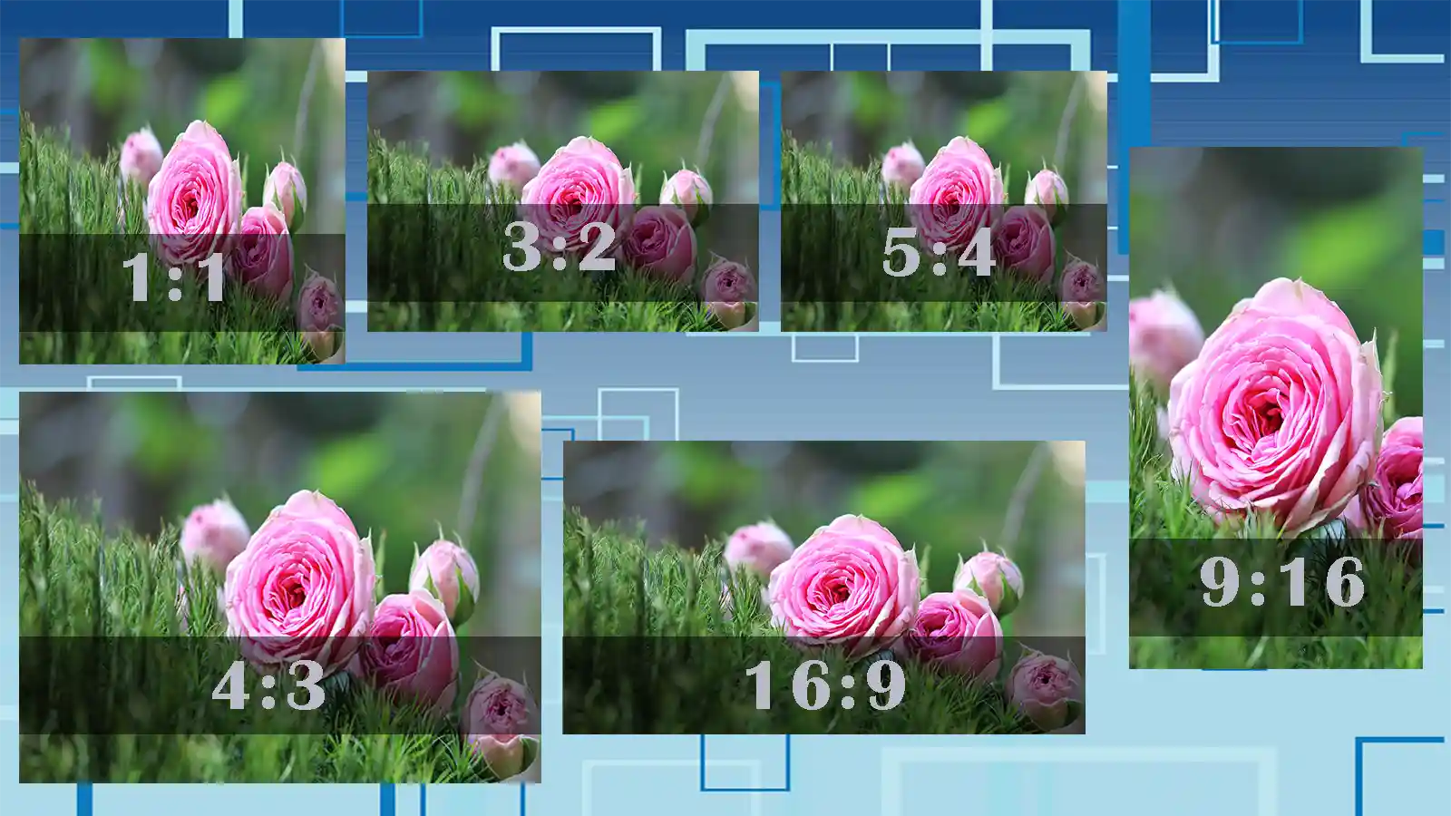 Different popular Aspect ratios of photos 