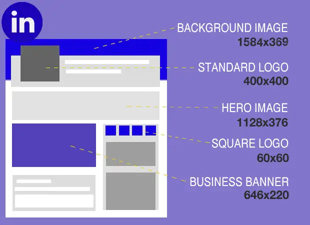 LinkedIn Photo Sizes