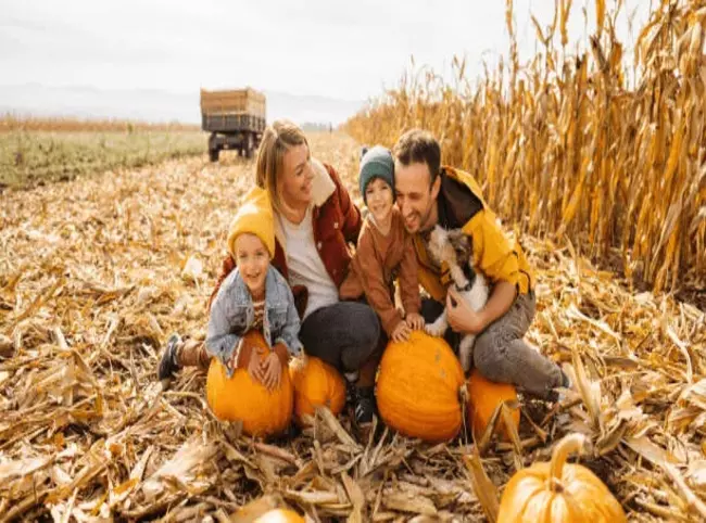 Harvest Fun, Fall Family Photo Outfits