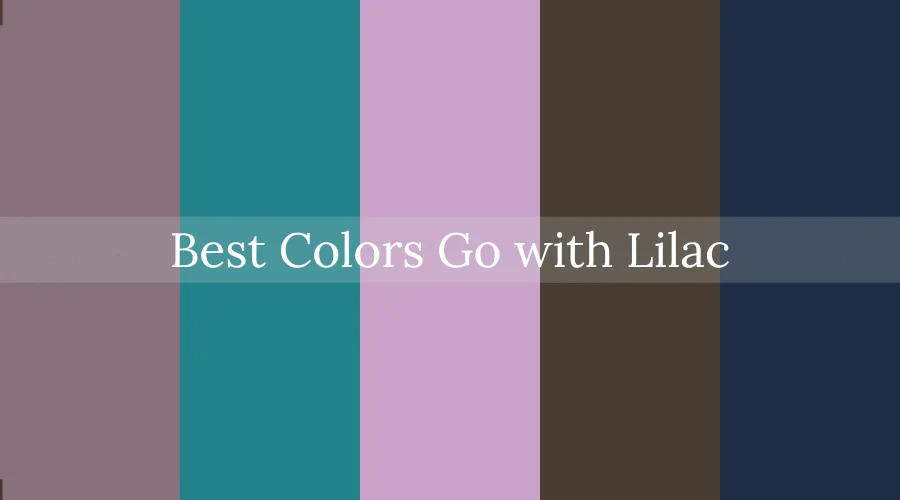 Best Colors Go with Lilac, Lilac Color, Lilac Wall Color