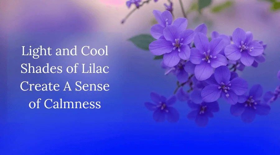 Light and Cool Shades of Lilac Create A Sense of Calmness, Symbolism of Lilac