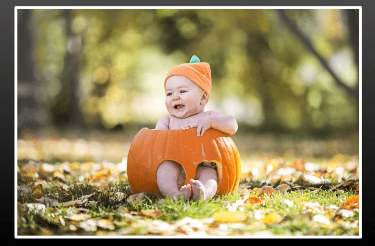 Pumpkin Photoshoot Baby