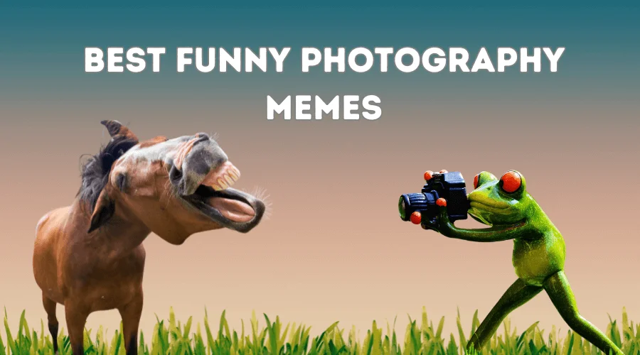 Funny Photography Memes, Photography Memes