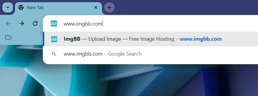 Go to the ImgBB Website