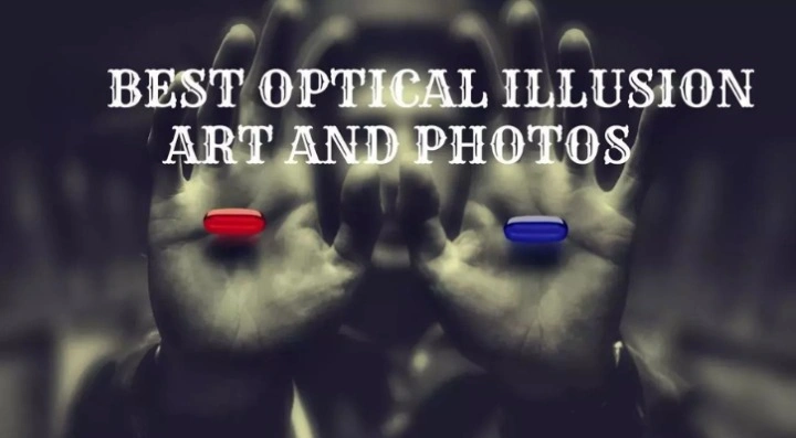 14 Best Optical Illusion Art and Photos